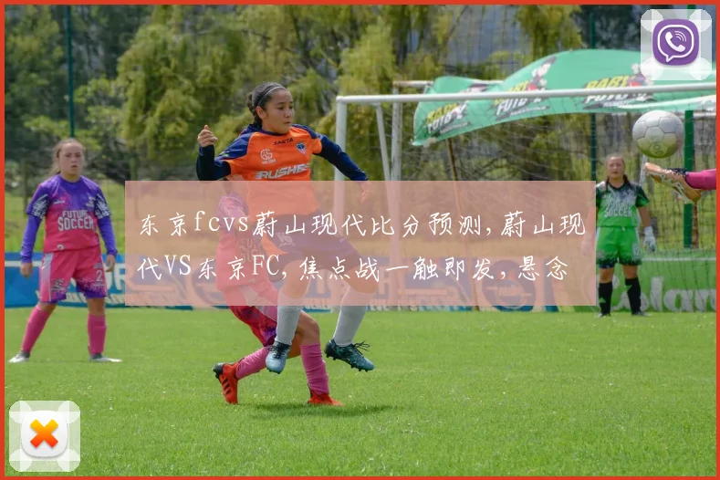 东京fcvs蔚山现代比分预测,蔚山现代VS东京FC,焦点战一触即发,悬念重重