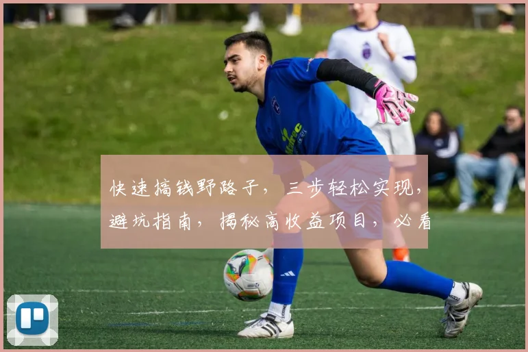 快速搞钱野路子,三步轻松实现,避坑指南,揭秘高收益项目,必看