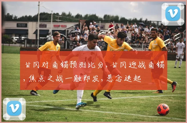 甘冈对南锡预测比分,甘冈迎战南锡,焦点之战一触即发,悬念迭起