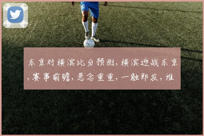 东京对横滨比分预测,横滨迎战东京,赛事前瞻,悬念重重,一触即发,谁将夺冠